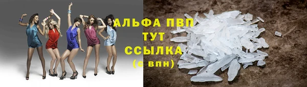 стафф Надым