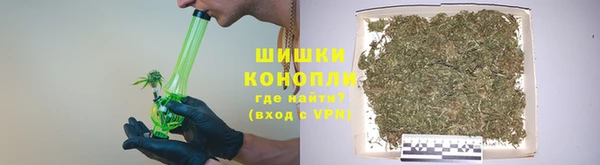 стафф Надым