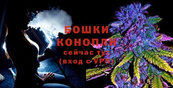 стафф Надым