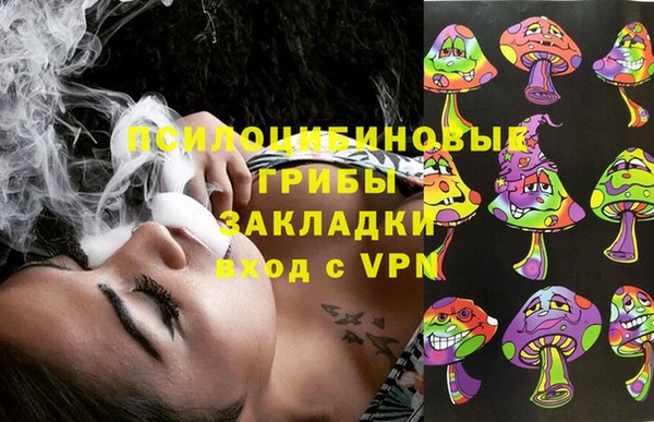 стафф Надым