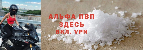 стафф Надым